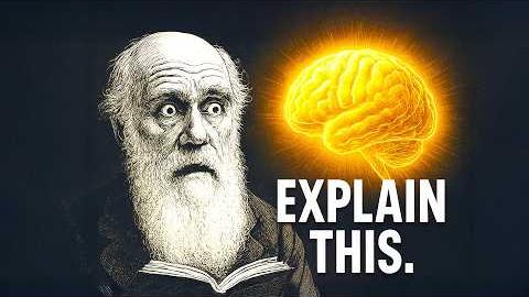 If Evolution Is True… Why Are You Conscious?